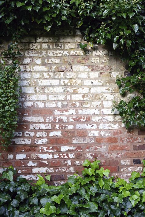 Ivy Brick Wall -To order this backdrop go to www.backdropscanada.ca Brick Wall With Plants, Earthy Industrial, Brick Wall Gardens, Brick Wall Backdrop, Mini Printables, Brick Wall Texture, Ivy Wall, Garden Tattoos, Old Brick Wall