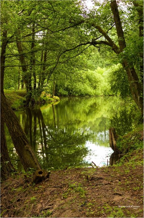 Backyard Garden Landscape, Cottage Aesthetic, Drawings Photography, Earth Spirit, Hdr Photography, River Bank, Small Ponds, Fantasy Art Landscapes, Walk In The Woods