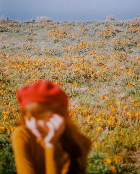 Super Bloom, Yellow Aesthetic, Photography Inspo, Vintage Aesthetic, Aesthetic Photography, Santorini, Film Photography, Rio De Janeiro, Picture Perfect