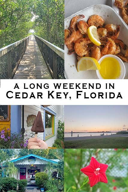 Cedar Key Fl, Cedar Key Florida, Cedar Key, Florida Getaway, Fl Beaches, Florida Travel Guide, Florida Adventures, Bucket List Vacations, Us Road Trip