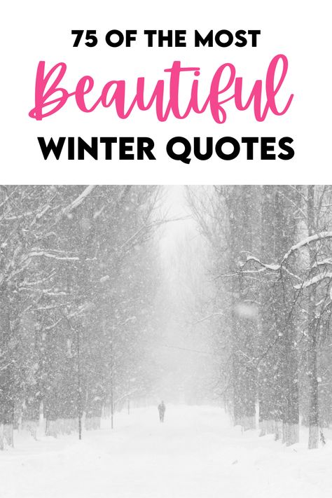 The best Winter quotes Winter Words Quotes, Winter Positive Quotes, Snow Quotes Aesthetic, Snow Globe Quotes, Wintering Quotes, Winter Wonderland Quotes, Winter Sayings Quotes, Winter Sayings For Signs, Winter Quotes Inspirational