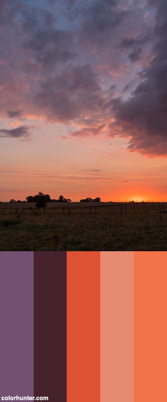 Sunrise Color Scheme from colorhunter.com Sun Rise Color Palette, Sunrise Colour Palette, Sunrise Color Scheme, Couples Room Ideas, Sunrise Color Palette, Nail Challenge, Color Cube, Sunset Color Palette, Sunrise Mountain