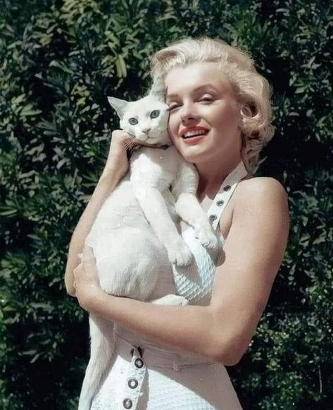 Marilyn Monroe con su gato Mitsou, 1951 (Foto de Earl Leaf) Oud Hollywood, Klasik Hollywood, Marilyn Monroe Fotos, Bessie Love, Estilo Marilyn Monroe, Gina Lollobrigida, Liza Minnelli, Söt Katt, Tilda Swinton