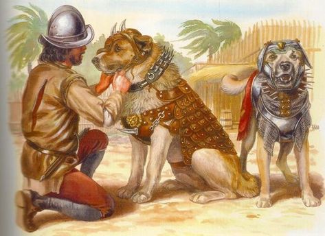 Conquistador with War Dogs Dog Armor, Spanish Mastiff, Roman Armor, Spanish Conquistador, Mastiff Dogs, Armadura Medieval, Battle Armor, Ancient Origins, Man And Dog