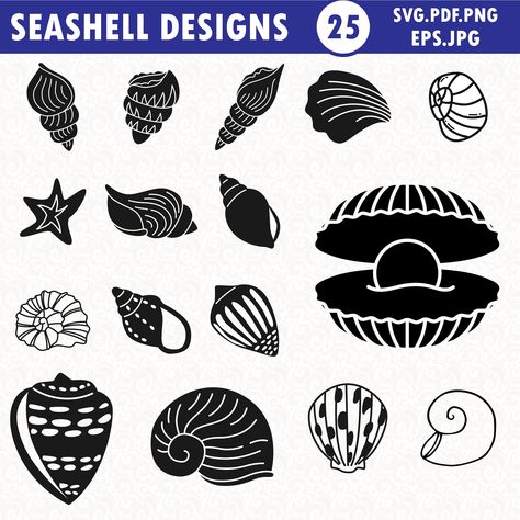 Seashell Images, Seashell Png, Seashell Svg, Seashell Clipart, Clothes Printing, Shirt Prints, Mug Printing, Printable Decor, Sea World