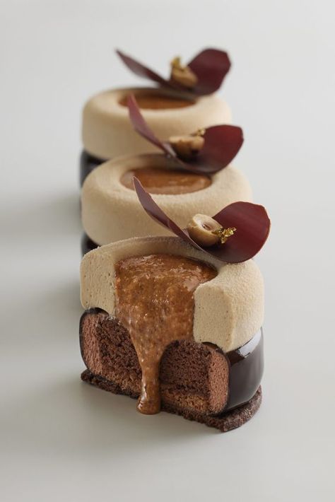 Entremet Decoration, Mini Entremet, Entremet Recipe, Patisserie Fine, Patisserie Design, Fine Dining Desserts, Pastry Design, Cocoa Recipes, Gourmet Desserts