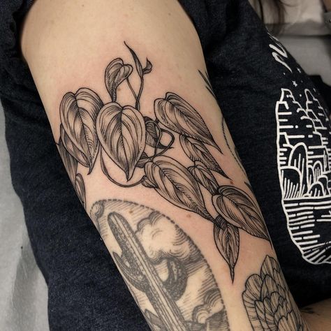 Philodendron filler for Jamie - above a really lovely @rachelhauer cactus. Thank you, Jamie! Philodendron Tattoo, Plant Tattoos, Forearm Tattoo Quotes, Fern Tattoo, Leaf Tattoo, Tattoo Filler, Tattoos Sleeve, Western Tattoos, Plant Tattoo