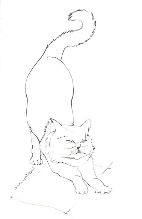 Cat Stretching Drawing, Stretching Drawing, Cat Poses, Cat Drawing Tutorial, Cat Stretching, Cat Pose, Cat Drawing, Ink Drawing, Drawing Tutorial