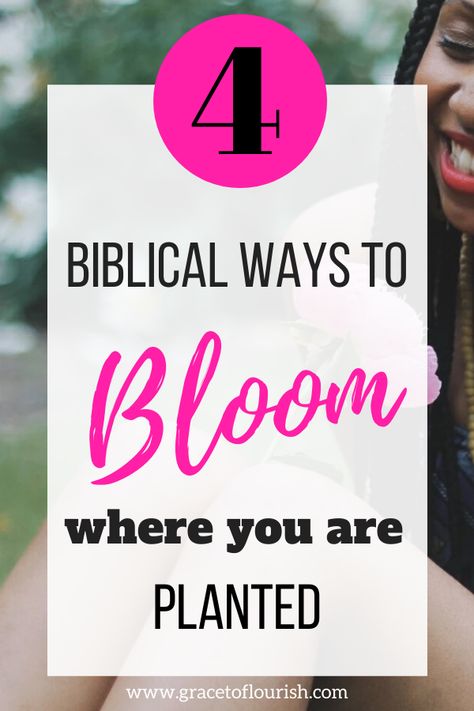 God is preparing you for great things even while you are in the 'pit'. Learn 4 Biblical ways to bloom where you are planted. Womens Bible, Prayer Garden, Plant Activities, Women's Retreat, Relief Society Activities, Bloom Where Youre Planted, Bible Humor, Womens Retreat, Womens Bible Study