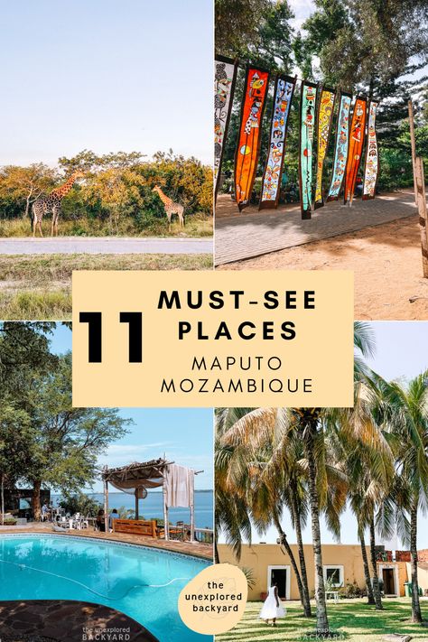 things to do in maputo Mozambique Travel, Africa Bucket List, Maputo Mozambique, Desert Wildlife, Itinerary Design, Namib Desert, Maputo, Travel Africa, Bucket List Places