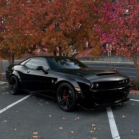 American Classic Cars | Dodge Challenger SRT Hellcat 💣 | Facebook Cars Dodge Challenger, Tmax Yamaha, Dodge Challenger Hellcat, Modern Muscle Cars, Challenger Srt Hellcat, Dodge Challenger Srt Hellcat, Dream Car Garage, Challenger Srt, Dodge Challenger Srt