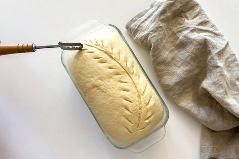 Sourdough Sandwich Bread Sandwich Bread Scoring, Sourdough White Sandwich Bread, Quick Sweets, Starter Bread, Sourdough Sandwich Bread Recipe, Sourdough Sandwich Bread, Roti Bread, Beautiful Bread, Bread Scoring