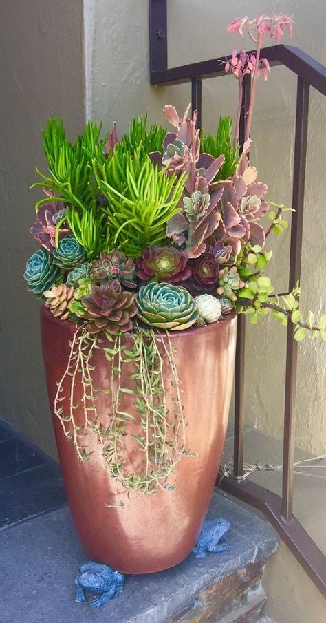 Succulent Pot Arrangements, Succulent Container Ideas Outdoors, Succulent Garden Diy Outdoor Backyards, Succulent Pots Outdoor, Succulent In Pots Outdoors, Large Succulent Arrangements Outdoor, Potted Cactus Garden, Outdoor Succulent Garden Pots, Plant Arrangements Outdoor