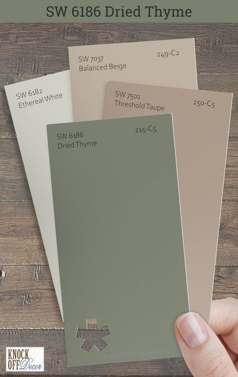 Sherwin Williams Dried Thyme is a hue that invites relaxation into any space. I'm delighted to share my insights on the colors that best complement it such as here with SW Threshold Taupe, Balanced Beige, and Ethereal White. My full review details the more incredible palettes. Click to find your perfect match! Rustic Room Colors, Painting Ideas For Outside Of House, Sage Green Waynes Coating, Sage Green Dining Room Accent Wall, Wherein Williams Sage Green, Sw Threshold Taupe, Popular Green Sherwin Williams, Tansy Green Sherwin Williams, Sw 6186 Dried Thyme