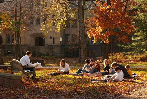 School In Autumn, Tis Autumn, Fall Moodboard, Autumn School, College Class, Drømme Liv, Fall School, Fall Mood Board, Group Study