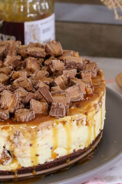 The ultimate collection of NO-BAKE CHEESECAKE RECIPES… including chocolate Baileys cheesecake, rocky road cheesecake, Mars Bar cheesecake, blueberry cheesecake and more!    #no-bake #cheesecake #recipes #thermomix #conventional #best #easy #dessert