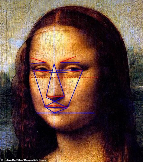 Golden Ratio Face, Mona Lisa Drawing, Deep Plane Facelift, La Mona Lisa, Most Famous Paintings, Facial Plastic Surgery, Facial Plastic, Body Proportions, Human Male