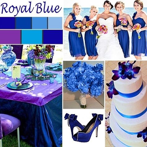 Royal Blue and Purple - 10 of the Best Colors that Go with Royal Blue - EverAfterGuide Wedding Color Royal Blue, Blue And Purple Wedding, Blue Purple Wedding, Wedding Color Scheme, Purple Wedding Theme, Wedding Colors Purple, Royal Blue Wedding, Peacock Wedding, Wedding Colors Blue