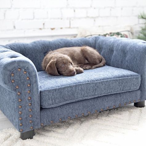 LA-Z-BOY Furniture Sofa Dog Bed, Blue - Chewy.com Diy Elevated Dog Bed, Dog Bed Design, Dogs Bed, Mini Couch, Boys Furniture, Bed Steps, Bed Design Ideas, Elevated Dog Bed, Outdoor Dog Bed