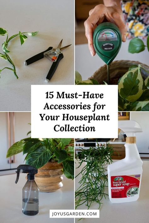 Discover the essentials for your houseplant collection. We've put this list together to help new plant parents begin their houseplant care journey. From watering cans to humidity meter, these 16 indoor plant accessories & supplies will keep your plants thriving and looking their best. Don't miss out on these must-have houseplant gardening tools for every indoor gardener's arsenal! Plant Essentials, Houseplant Collection, Easy Indoor Plants, Plant Accessories, Houseplant Care, Watering Cans, Rubber Plant, Plant Supplies, Trellis Plants