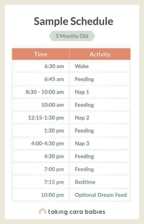 5 Month Old Schedule, 5 Month Old Sleep, Taking Cara Babies, Wake Windows, Moms On Call, 5 Month Baby, Taking Care Of Baby, 5 Month Old Baby, Newborn Sleep Schedule