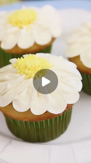 Elizabeth (SugarHero.com) • Dessert Recipes 🧁🍩🍰🍪 on Instagram: "Daisy Cupcakes - one of the easiest flower cupcakes you can make! 🌼🌼🌼 You'll need to fill a piping bag with white buttercream and fit it with Wilton Tip #104 to create the petals. Then use a piping bag filled with yellow buttercream fitted with Wilton Tip #133 to make the center.   Use this technique to pipe daisies on cupcakes or summery cakes and sheet cakes 🧁🎂🍰. You can also change the frosting colors to make pink, purple and yellow daisies. So cute!  #sugarhero #cupcakes #cupcaketime #cupcakeart #cupcakeartist #cupcakery #cupcakeaddict #cupcakesofinstagram #cupcakeoftheday #cupcakelove #cupcakelover #buttercream #buttercreamflowers #flowercupcakes #daisycupcakes #springcupcakes #babyshower #bridalshower" How To Make Daisies On A Cake, Mary Cake, Daisy Cupcakes, Wilton Tips, Cupcake Videos, Daisy Cake, Spring Cupcakes, Frosting Colors, Daisy Cakes