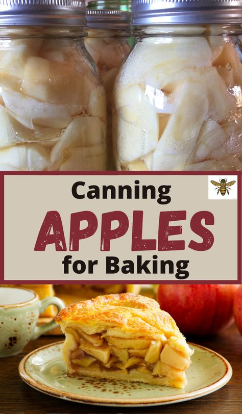 Ideas For Canning Apples, How To Can Apples For Apple Pie Filling, Canning Cooked Apples, Canning Granny Smith Apples, Canning Fried Apples, Apples Canning, Apple Recipes For Canning, Can Apples, Apple Canning