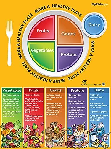 AmazonSmile: Nutrition Education Store MyPlate Poster: Educational Prints: Posters & Prints Plate Nutrition, Educational Prints, Nutrition Poster, Nutrition Store, Healthy Plate, School Cafeteria, My Plate, Snacks Saludables, Nutrient Rich Foods