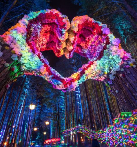 Electric Forest Illuminates Rothbury During 2019 Production | The Nocturnal Times Forest Festival, Electric Forest Festival, Electric Daisy, Arte Peculiar, Electric Forest, Psy Art, Hippie Costume, Art Classique, Lukisan Cat Air