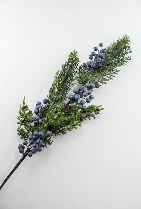 Seeding juniper cedar spray with blue berries - Greenery MarketgreeneryXP2161-GB Juniper Flower, Blue Juniper, English Christmas, Navy Christmas, Blue Christmas Decor, Blue Berries, Christmas Berries, Juniper Berries, Christmas Picks