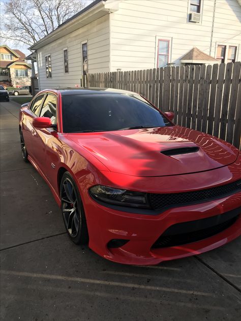 Red Charger Car, Red Dodge Charger Aesthetic, 392 Scat Pack Charger, Scat Pack Charger, Dodge Charger Scat Pack, Charger Scat Pack, Bmw Old, Dodge Hellcat, Dodge Charger Hellcat