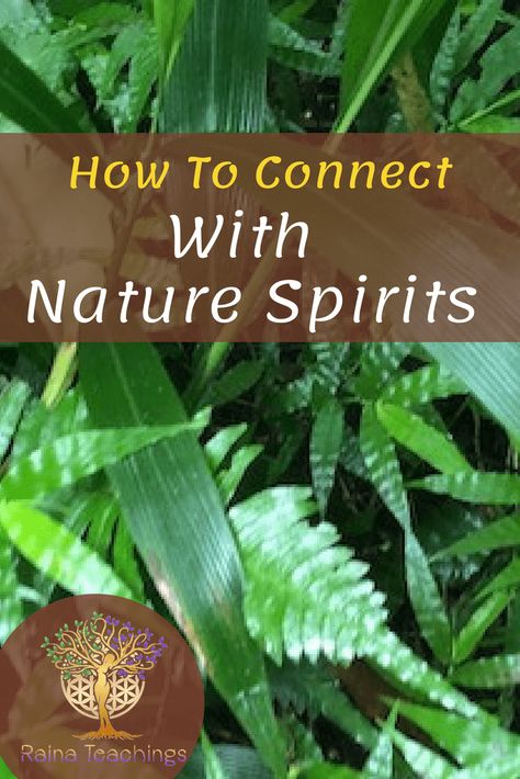 Celtic Druids, Tattoo Plant, Connect With Nature, Nature Spirits, Wicca Witchcraft, Psychic Development, Spirited Art, Witchy Stuff, Spells Witchcraft