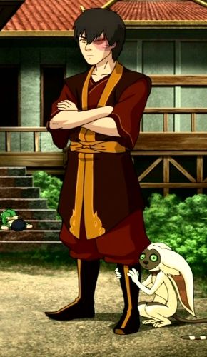 Prince Zuko watching Avatar Aang's Firebending training with Momo hiding behind Zuko Prince Zuko Cosplay, Zuko Reference, Zuko Halloween Costume, Zuko Outfit, Zuko Costume, Zuko Cosplay, Zuko Atla, Avatar Party, Avatar Clothing