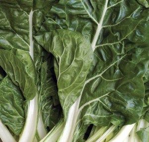 Omni Diet, Grain Brain, Broccoli Seeds, Organic Vegetable Garden, Seed Pack, Green Cabbage, Swiss Chard, Late Spring, Herb Seeds