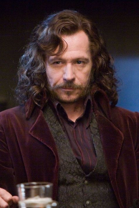 Sirius Black Gary Oldman, Harry Potter Sirius, Harry Potter Wall, Tapeta Harry Potter, Buku Harry Potter, Viggo Mortensen, Desenhos Harry Potter, Images Harry Potter, Harry Potter Tumblr