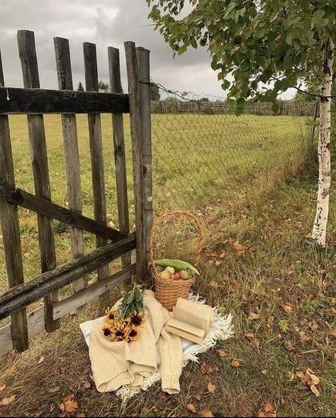 Anne Shirley Aesthetic, Shirley Aesthetic, Autumn Ambience, Hygge Autumn, Countryside Life, Stick Season, Green Academia, Rural House, Brighter Days