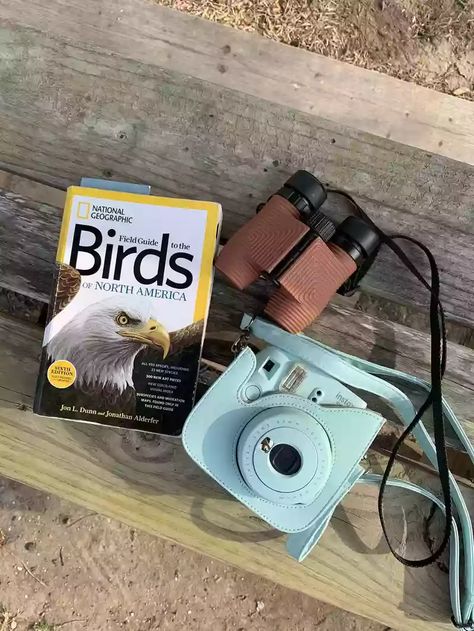 Birding Basics: What You Need To Know To Start Bird Watching : Life Kit : NPR Bird Watching Aesthetic, Birdwatching Aesthetic, Sci Aesthetic, Ahg Badge, University Students Life, Merlin Bird, Names Of Birds, Students Life, Job Motivation