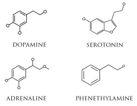 Serotonin Tattoo, Chemistry Tattoo, Science Tattoo, Science Tattoos, Molecule Tattoo, Dragons Tattoo, Muster Tattoos, Chemical Structure, Subtle Tattoos