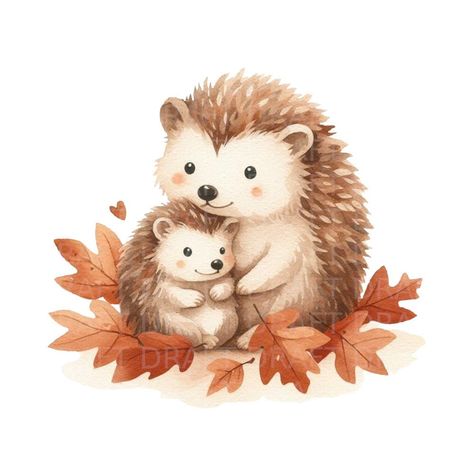 Cute Hedgehog Drawing, Baby Hedgehogs, Watercolour Clipart, Hedgehog Illustration, Baby Hedgehog, White Backgrounds, Decor Stickers, Watercolour Illustration, Design Paper