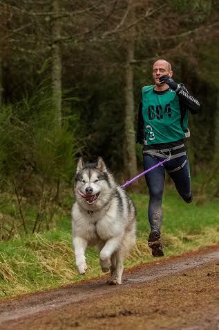 Run With Dog, Running With Dog, Puppy Training Treats, Dogs Running, Running Pictures, Dog Run, Dog Running, Running Dog, Animal Action