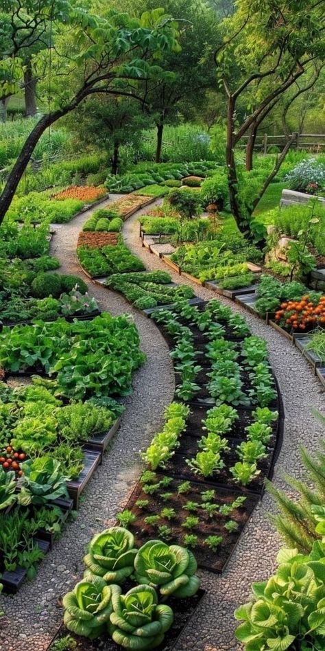 Home Vegetable Garden Design, Planning Garden, Beds Ideas, Gardening Design, Border Ideas, Flower Bedding, Potager Garden, Bedding Ideas, Veg Garden