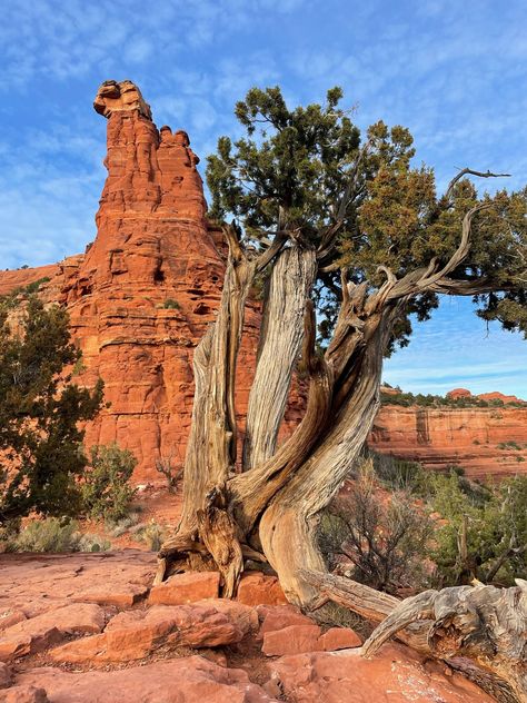 Sedona Arizona Red Rocks Digital Print  Download and Print to display in your home Sedona Arizona Red Rocks, Arizona Red Rocks, Southwest Landscaping, Arizona Rocks, Desert Rocks, American Desert, Desert Scenes, Environment References, Arizona Photography