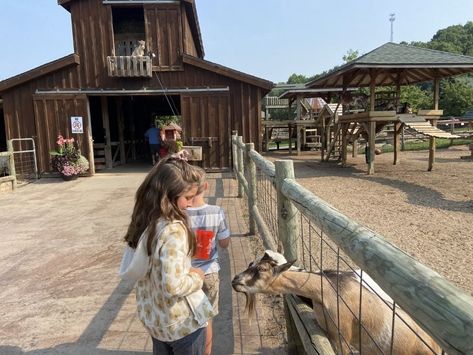 Petting Zoo Layout, Mobile Petting Zoo Ideas, Petting Zoo Ideas, Agritourism Ideas, Petting Zoo Farm, Mobile Petting Zoo, School Farm, Petting Farm, Zoo Inspiration