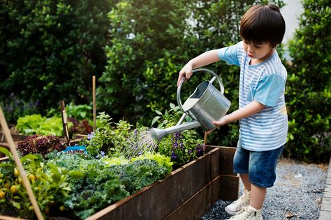 Garden Checklist, Video Garden, Garden Quotes, Backyard Inspo, Garden Boxes, Easy Garden, Gardening For Kids, Gardening For Beginners, 인물 사진