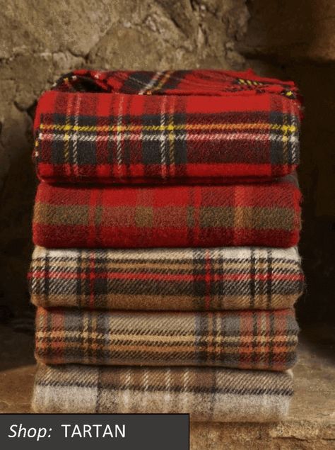 Plaid Blankets, Royal Stewart Tartan, Stewart Tartan, Tartan Blanket, Scottish Plaid, Interior Painting, Interior Paint Colors, Scottish Tartans, Painted Doors