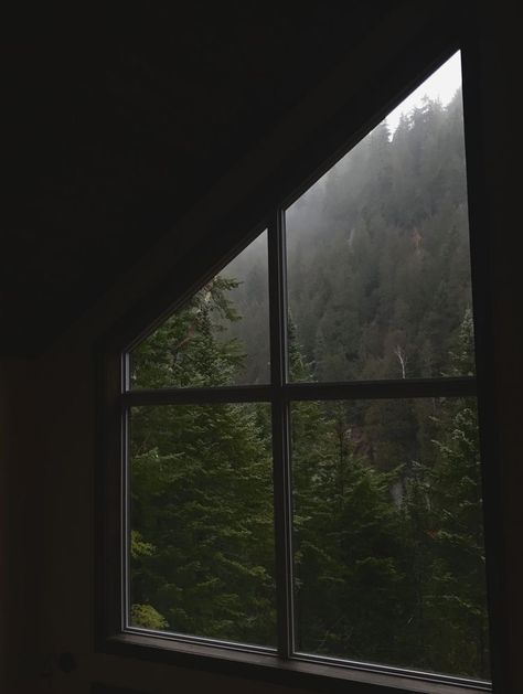 Dark Naturalism, Dark Forest Aesthetic, Rainy Day Aesthetic, Dark Green Aesthetic, Dark Nature Aesthetic, Dark Paradise, Window View, Night Aesthetic, Dark Forest