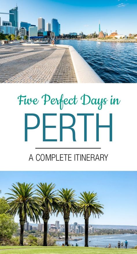 5 Days in Perth: The Perfect Perth Itinerary Perth Itinerary, Western Australia Road Trip, Perth Travel, Australia Bucket List, Western Australia Travel, Australia Itinerary, Australia Backpacking, Australia Vacation, Australia Travel Guide