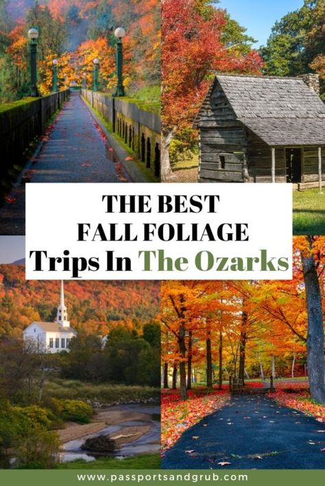 Are you ready to planning your fall road trips yet? I suggest taking a road trip to the Ozarks to see the Arkansas fall foliage.Arkansas may be known for its hot springs, beautiful lakes, and rivers but make no mistake the fall foliage in Arkansas can compete with the foliage in Tennessee, Oregon, Washington, and Colorado.The state of Arkansas turns into gorgeous shades of reds, oranges, and yellows every fall.  I suggest starting your road trip to see the Arkansas fall colors in the norther Arkansas Fall Foliage, The Old Mill Arkansas, Missouri Fall Foliage Road Trip, Ozark Mountains Road Trip, Fall In Arkansas, Arkansas In The Fall, Things To See In Arkansas, Branson In The Fall, Arkansas Fall Foliage Road Trip