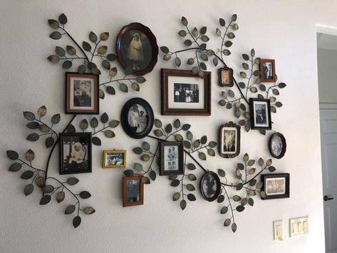 Old Family Photos Display, Family Photos Display, Genealogy Projects, Family Tree Layout, Family Tree Mural, Family Pictures On Wall, Vintage Family Photos, Family Tree Photo, Tree Branch Decor