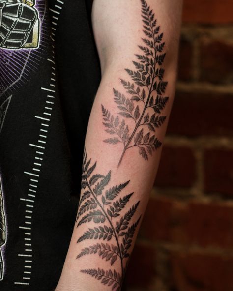 Thank you Elliott for bringing me this concept, I loved working on these ferns! Studio Corner, Melbourne Tattoo, Fern Tattoo, Arm Tats, Books Open, Cool Piercings, Forearm Tattoo Women, Corner Store, Peonies Tattoo